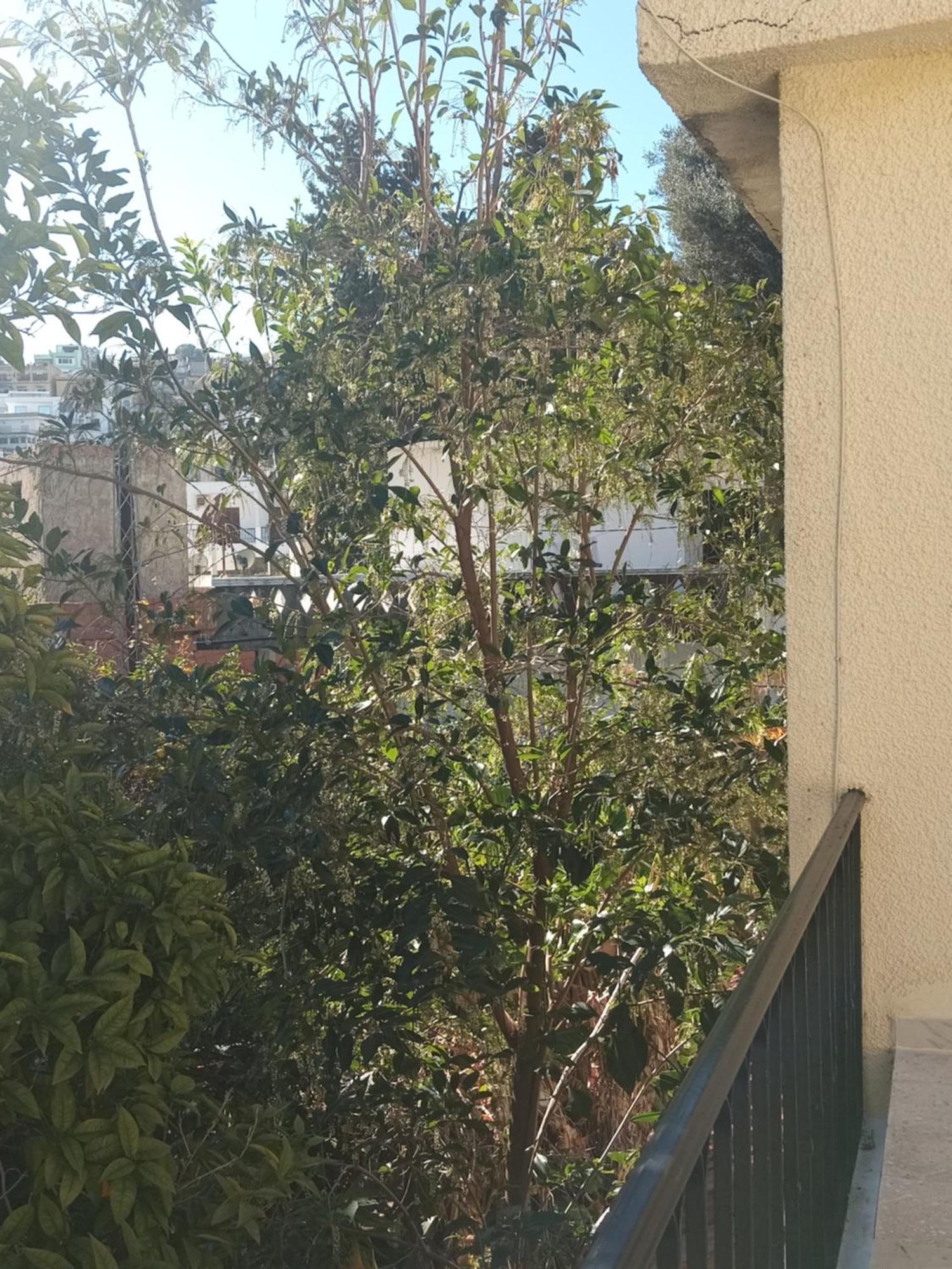 Maison De Vacances Tabarka Kültér fotó